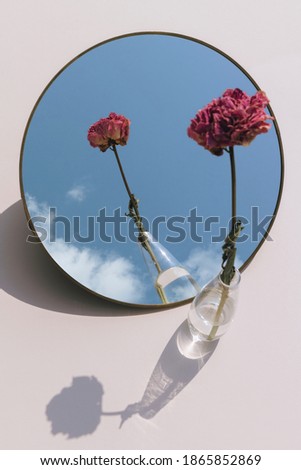 Image, Stock Photo Reflection of the sky in the harbour basin at sunset