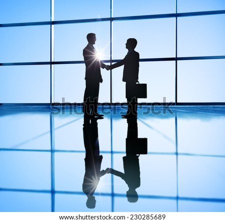 Two Businessmen Handshaking in the Office