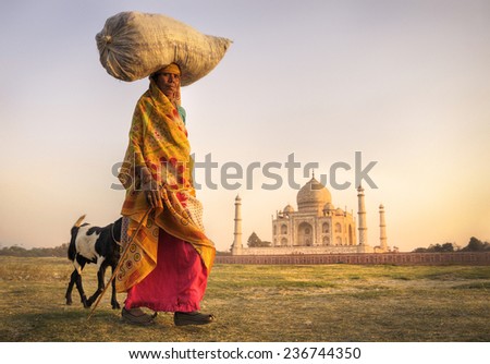 Indian woman carrying on head and goats near the taj mahal.