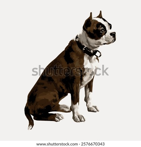 Illustration of a Boston Terrier dog sitting. The Boston Terrier, a small dog, is known for its distinctive markings. This Boston Terrier is alert and attentive. Isolated vector element.