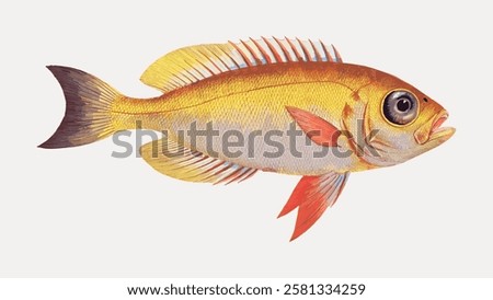 Illustration of a colorful fish with vibrant fins and scales. The fish has a detailed texture, showcasing its vibrant colors and intricate fin patterns. Vintage fish illustration isolated, vector.