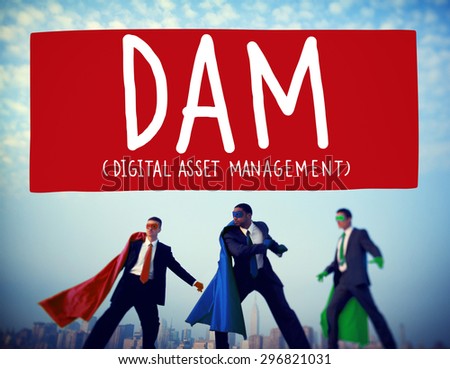 DAM Digital Asset Management Organization Concept