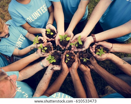 a team of volunteers in a circle holding seedlings in their hands