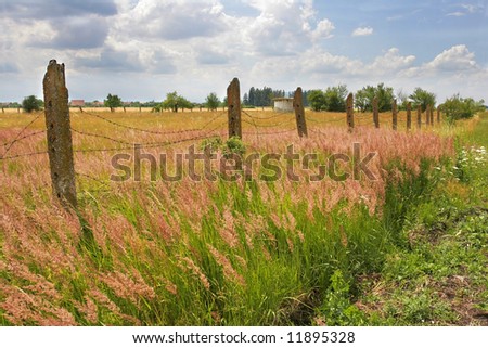 Summer landscape with barbed wire fence