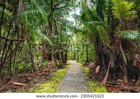 Similar – Image, Stock Photo bako national park | wonderful place in the world