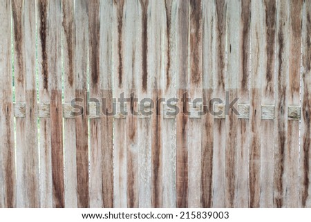 texture background of Yellow Bamboo stick