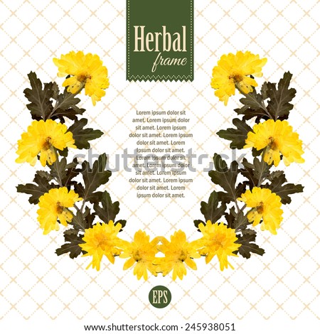 Herbal summer wreath of natural yellow flowers. Eco friendly background. Pressed flowers