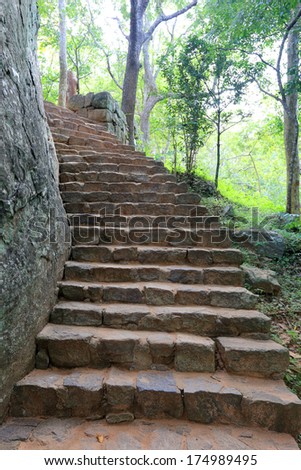 old stone's stairs in antique castle