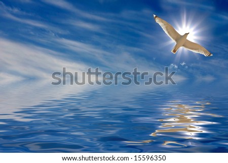 flight of soul