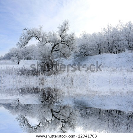 Nice winter landscape with tree near lake