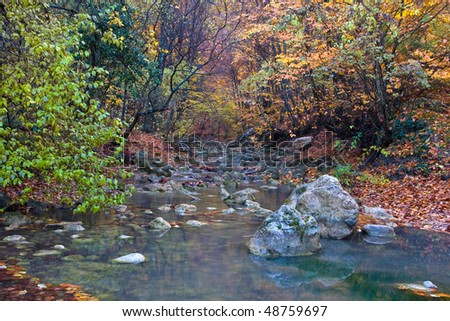 Nice autumn landscape with mountain river