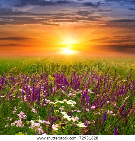 Summer landscape with sunset in steppe