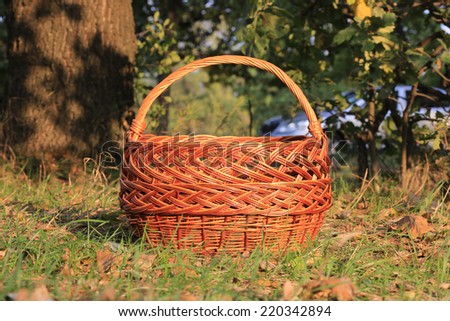 empty basket in autumn forest