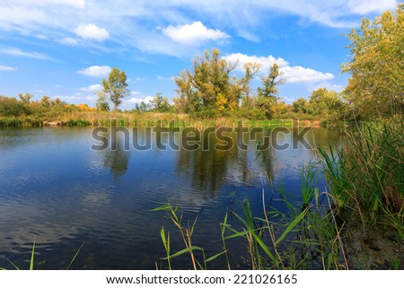 nice autumn scene with lake