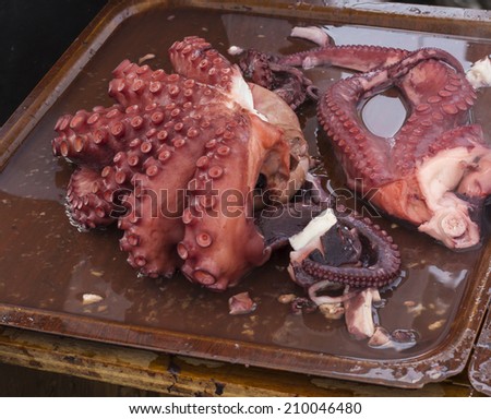 octopus freshly cooked, ready to slice and serve