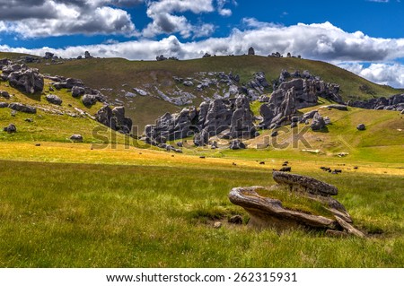 Meadow in the Castle Rock area in South Alps, South island of New Zealand