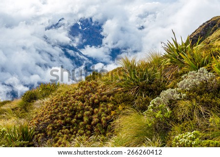 South Alps in the clouds, Routeburn track, South island of New Zealand