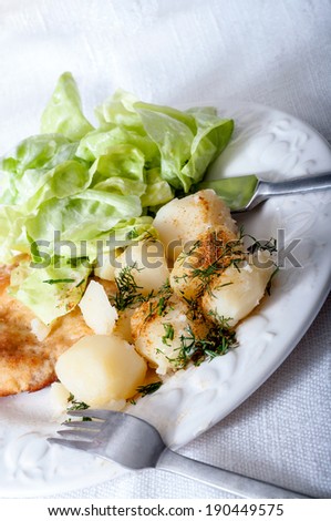 typical Polish dinner, pork, potatoes, lettuce