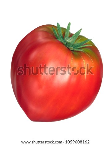Similar – Image, Stock Photo Cuore di bue