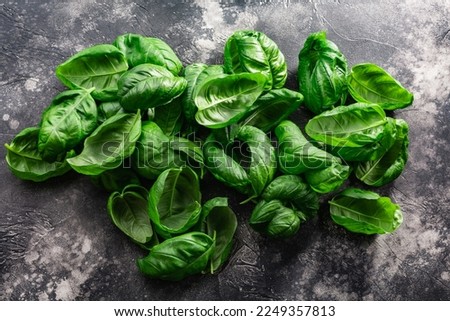 Similar – Image, Stock Photo Fresh basil plant in vintage kitchen with tiles sunlit with shadows