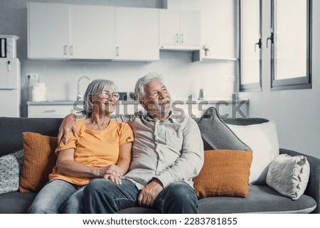 Similar – Image, Stock Photo Senior lady looking at camera from boardwalk