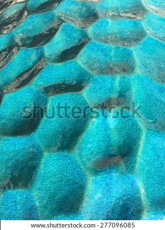 An Extreme Close Up Photo of a Turquoise Garden Pot with Cracked Paint and Circular Patterns