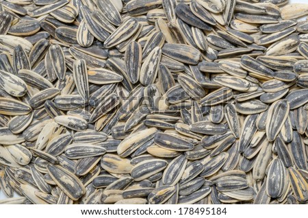 Sunflower seeds background. Toasted sunflowers seeds are used as snack