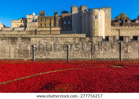 LONDON, UK / 09.11.2014 - Field of ceramic poppies around the Tower of London on Remembrance Day