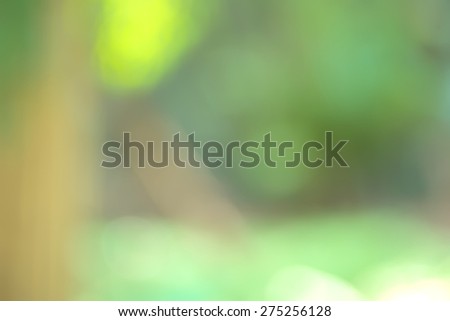 Abstract blurry natural green park background with bright round bokeh