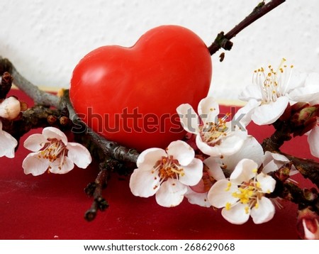 Small red heart hidden in blossom tree