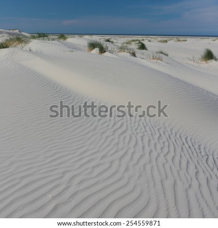Dutch dune