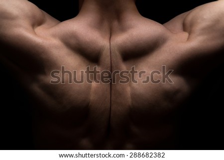 Photo of man\'s muscle back on black background