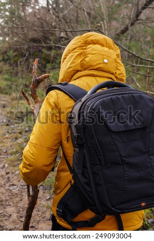 Man from behind dressed in yellow jacket hold stick and wolking in a fores with backpack.