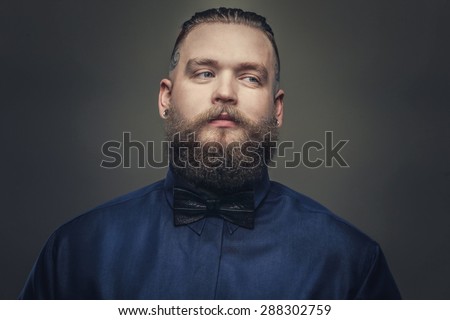 Man with beard dressed in blue shirt with bow tie. Isolated on grey background