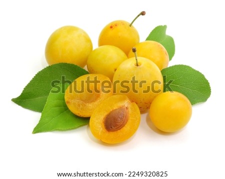 Similar – Image, Stock Photo Fresh Yellow plum mirabelle fruit in plate