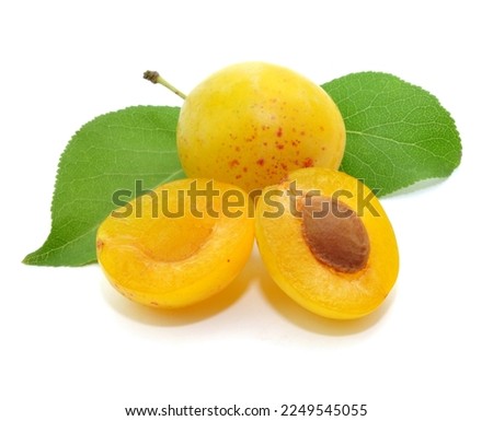 Image, Stock Photo Fresh Yellow plum mirabelle fruit in plate