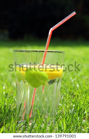 glass of cold water with lemon and mint leaf and straw