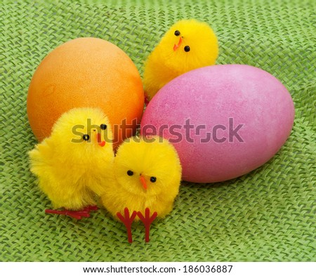 Easter chicks with eggs on green background