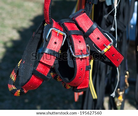 Bunch of red dog collars