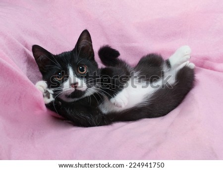 Black and white kitten lying on pink