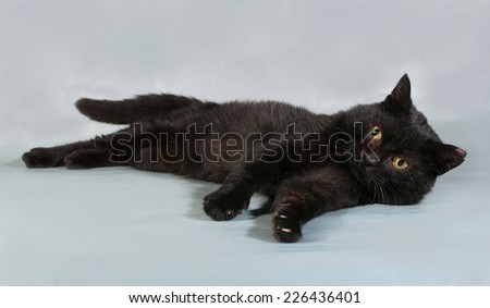 Black cat with yellow eyes lying on gray background