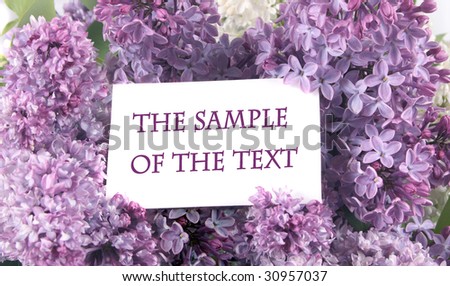 Background with flowers of a lilac and a place for the text.