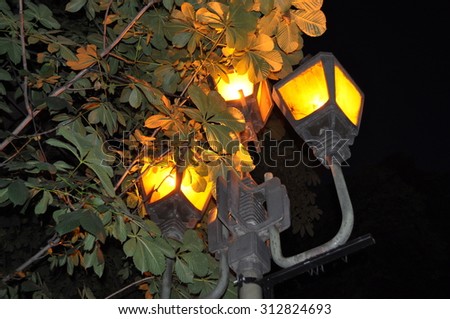 lantern at night