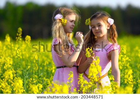 Girl on summer yellow flower field is weaving flowers in the hair of his friend girl.