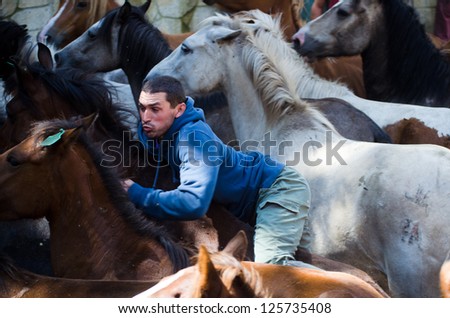PONTEVEDRA, SPAIN - AUGUST 5: Unidentified horseman riding, bareback riding, a wild horse, in a traditional celebration \