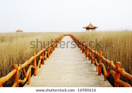 Winter wetland landscape with road and pavilion in China