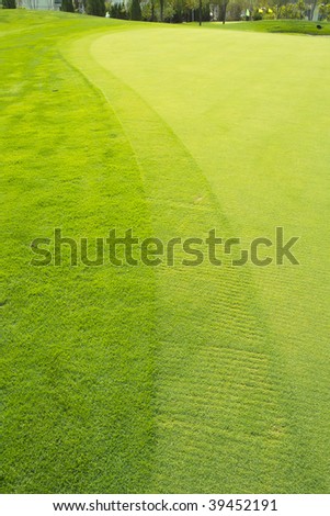 Golf grass field in the morning