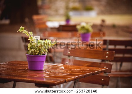 flowers in pot on a wet cafe table after rain