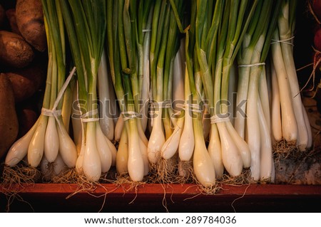 bunch of spring onions sold on vegetable market