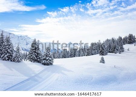 Similar – Image, Stock Photo Pine forest covered with snow and ice in a misty landscape in the North of Spain Mountains